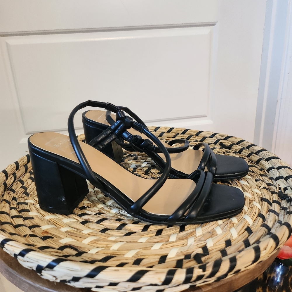 Kaari Blue Black Strap Heels